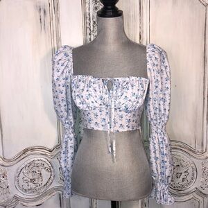 8 Birdies CottageCore Victorian Edwardian Feminine Prairie Cowgirl Corset Top